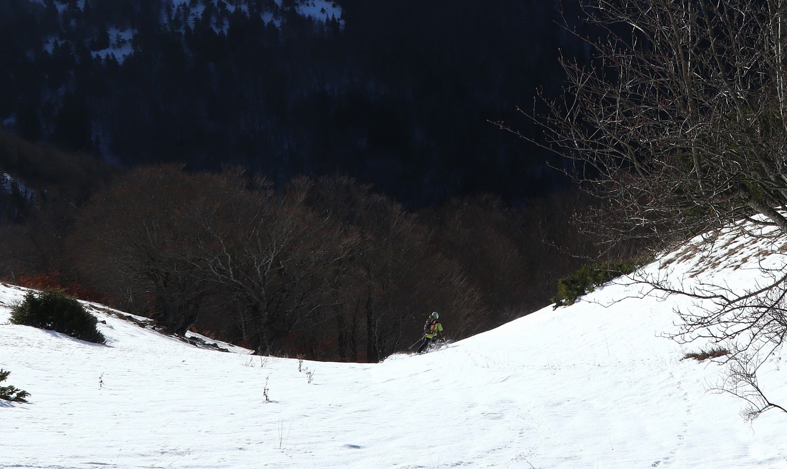 Descente jusqu'à la forêt&nbsp;