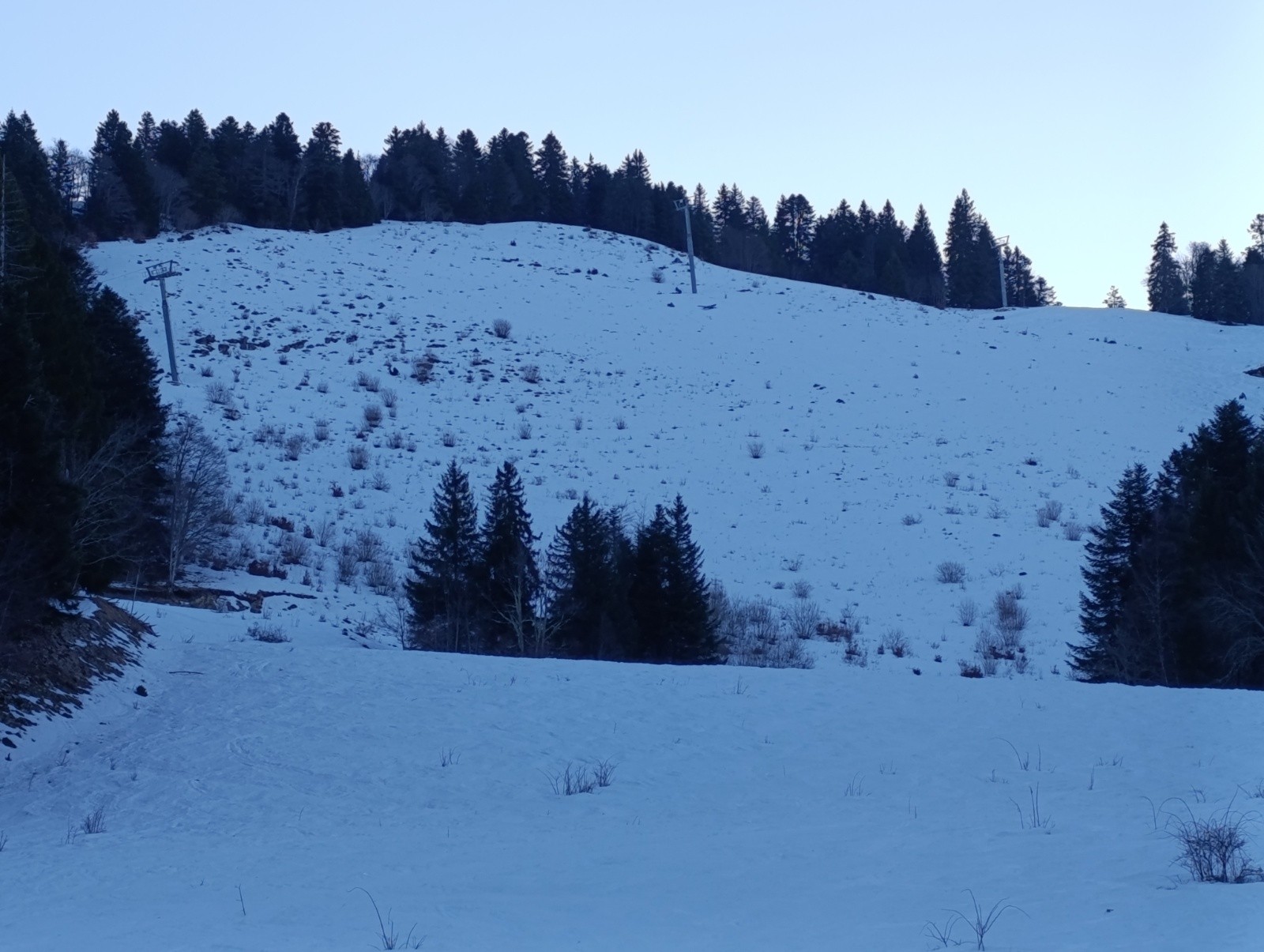 Les Fraisses.. (non sucrées)