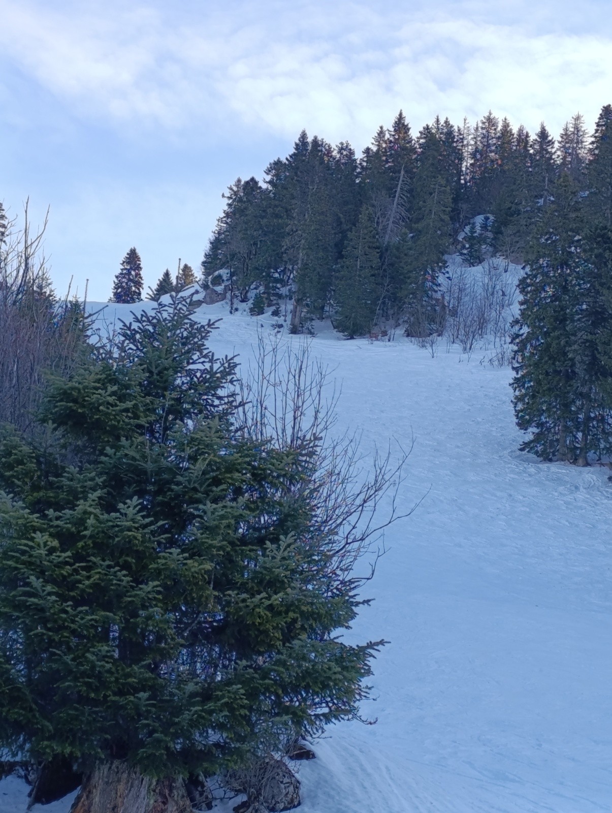 Le creux de la neige.. labourégelé..