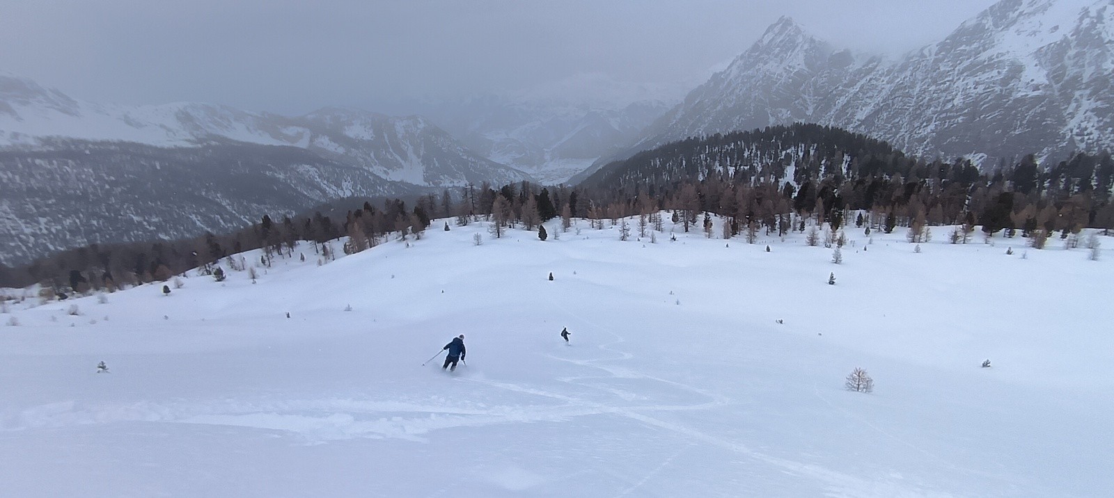 &nbsp;Fin de la pente sommitale avant la forêt&nbsp;