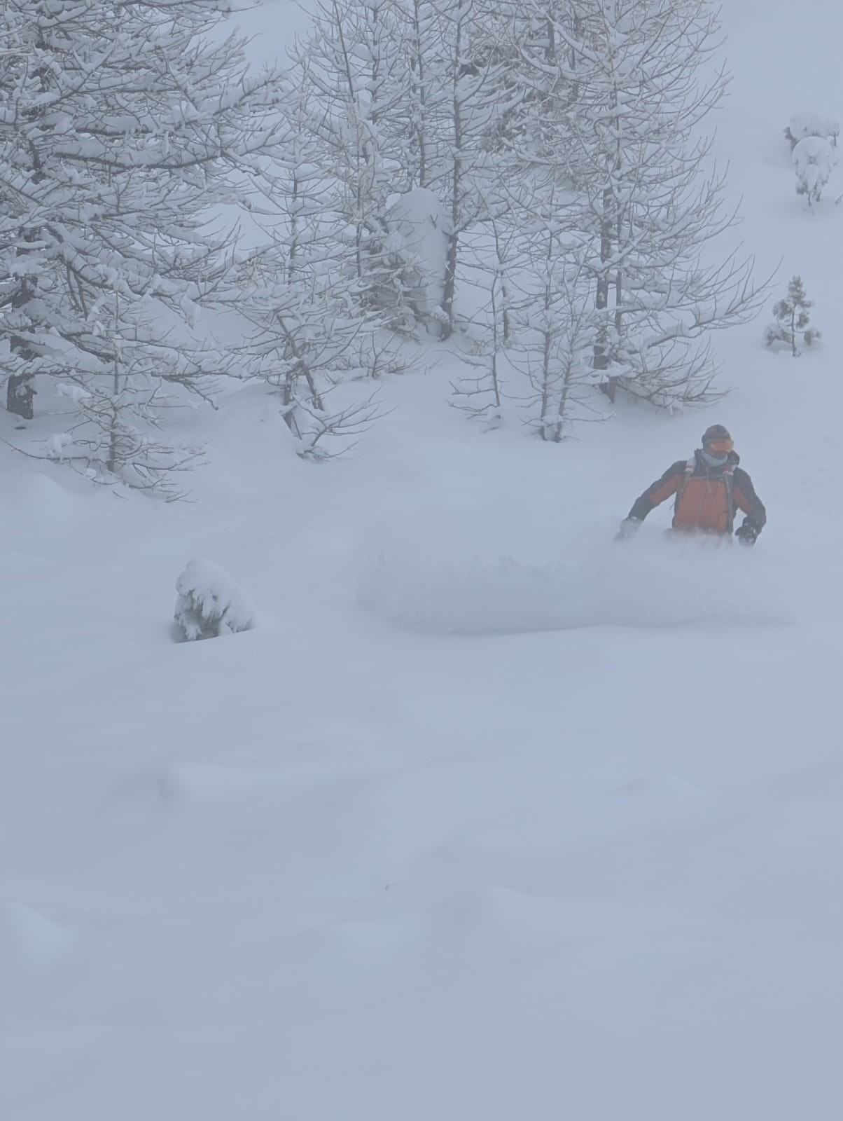 Bon sur le haut&nbsp;