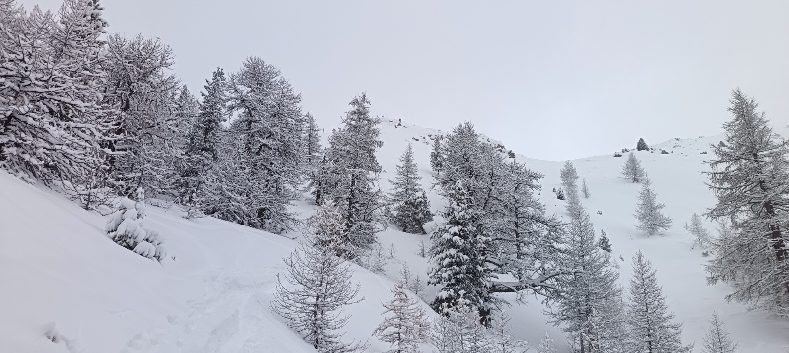 Sortie de la forêt, on voit les croix&nbsp;
