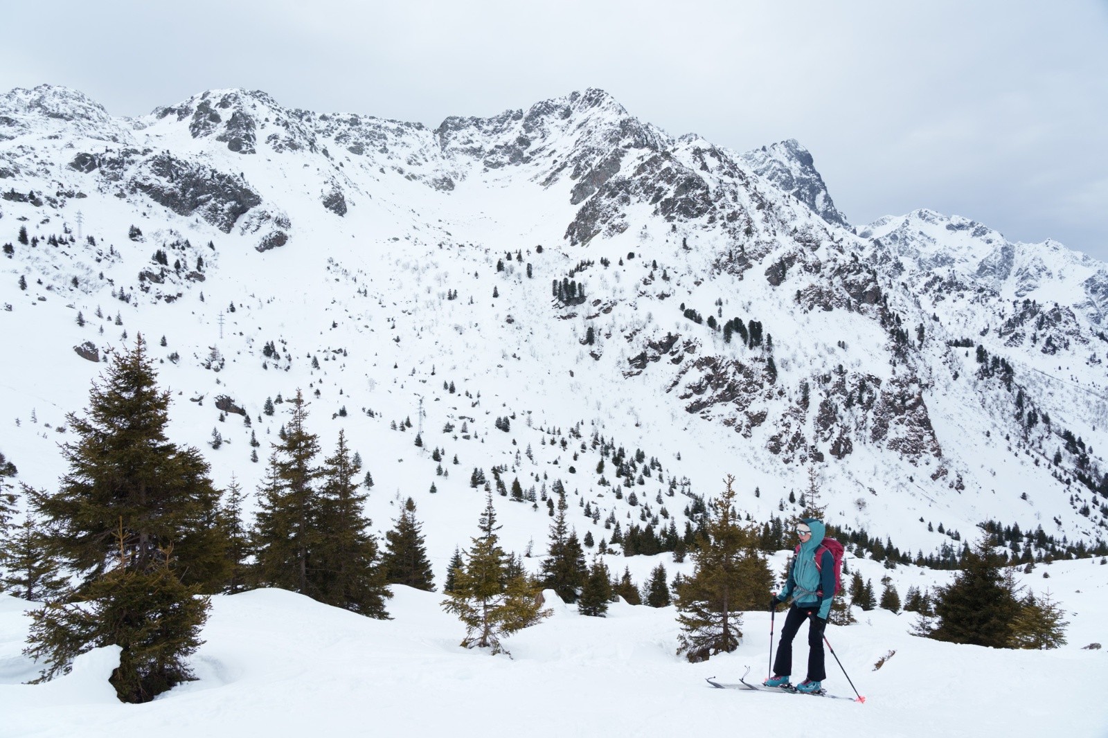 &nbsp;Slalom entre les sapins