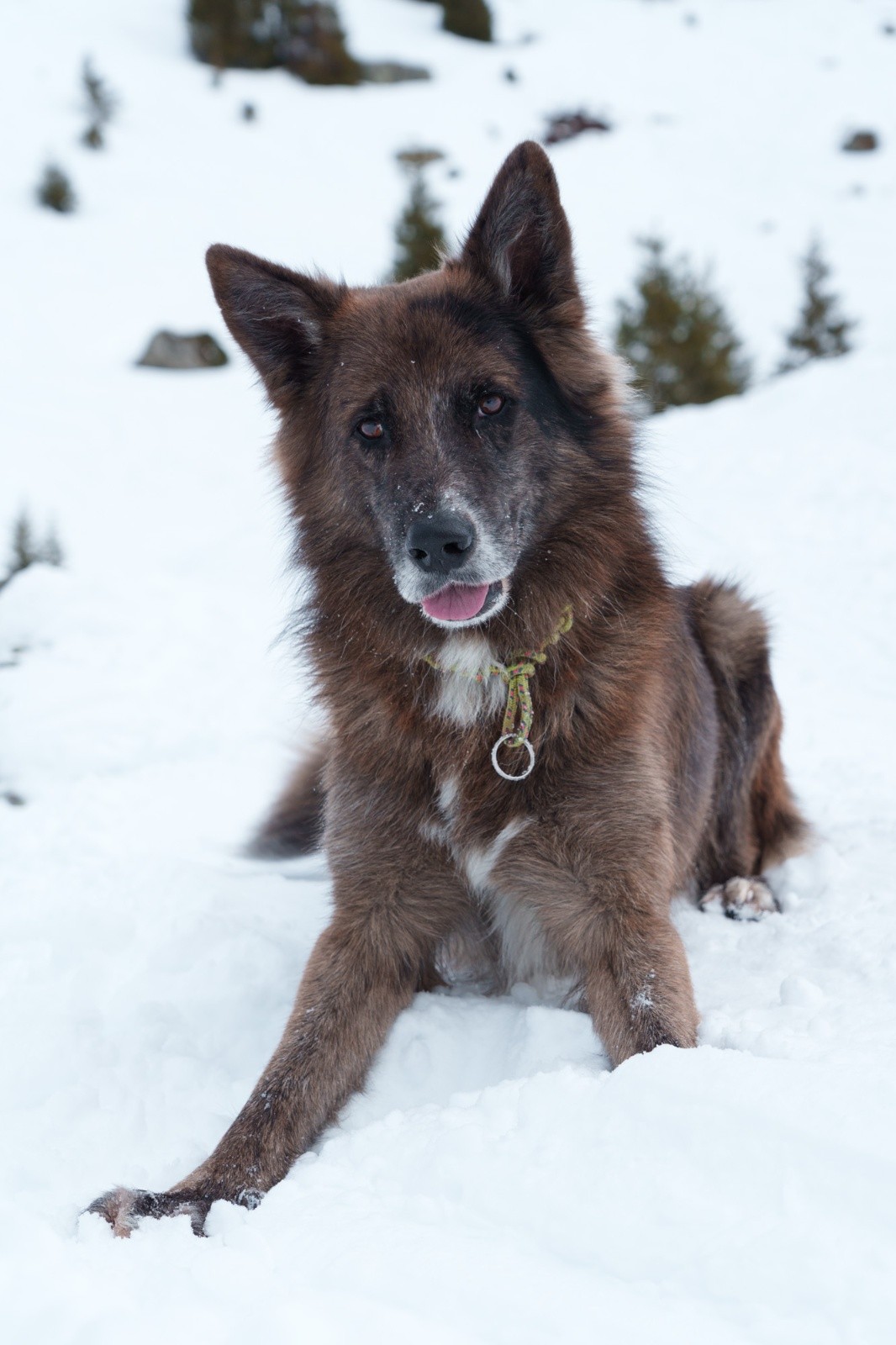 La mascotte de la sortie !&nbsp;