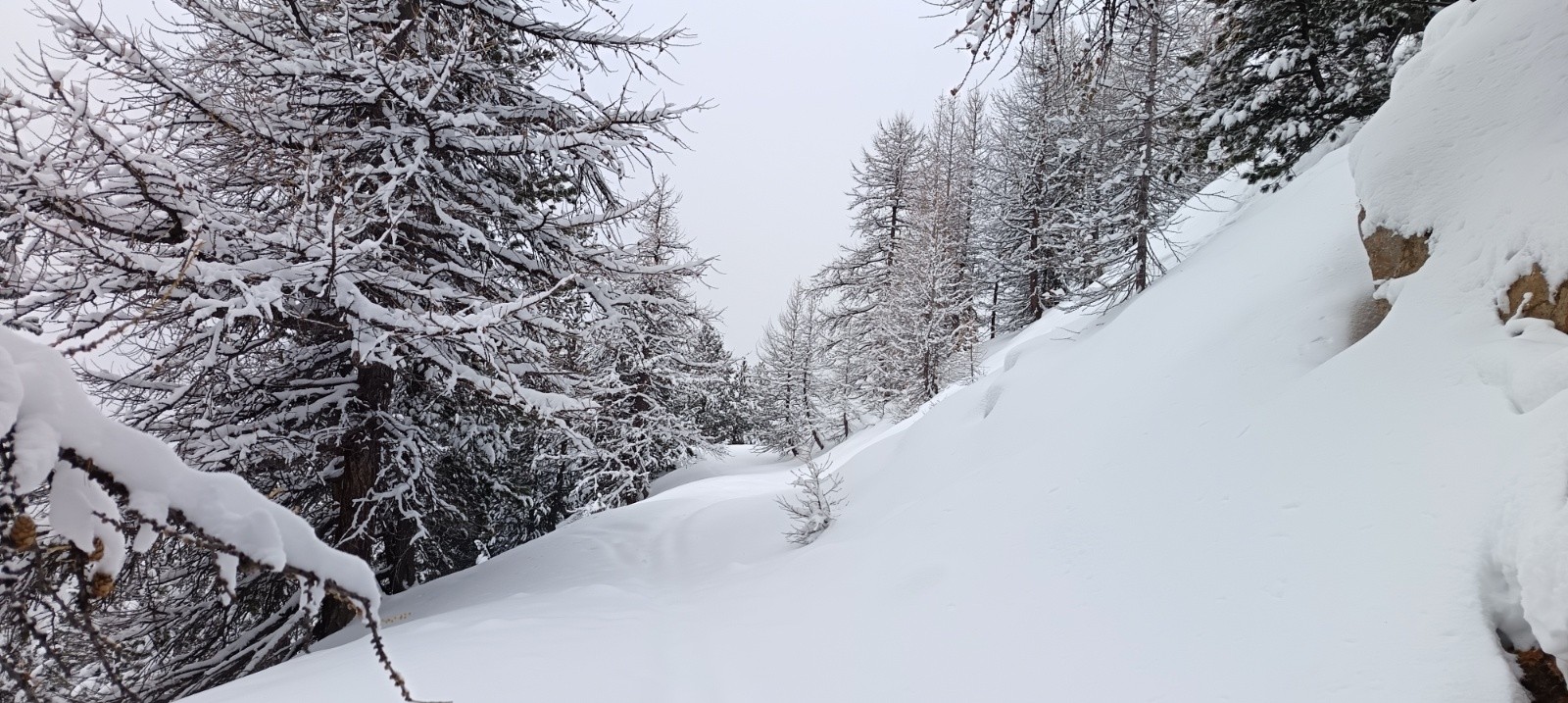 &nbsp;Remontée à la crête de de la Lausette&nbsp;