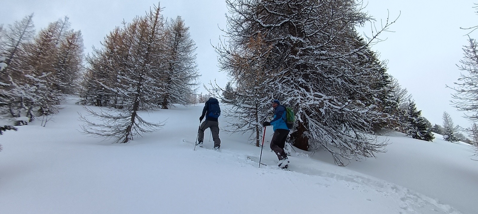 &nbsp;Idem on brasse&nbsp;