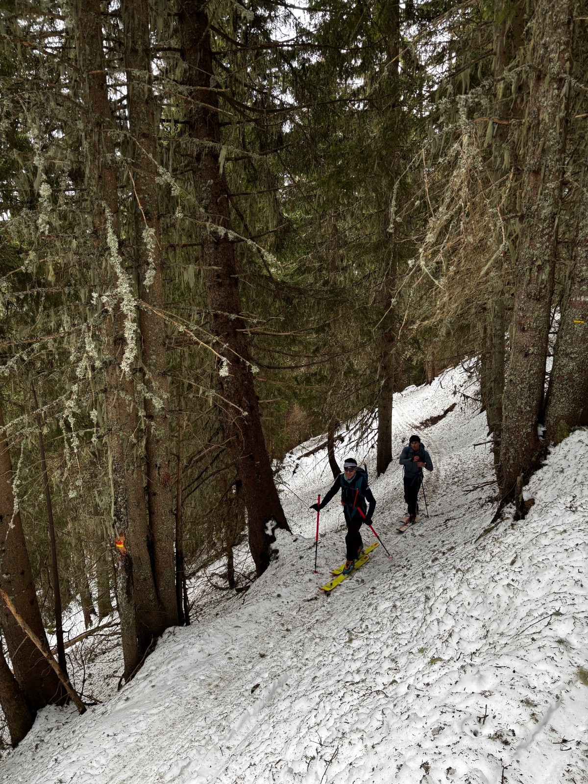 &nbsp;Ambiance blanche (non)