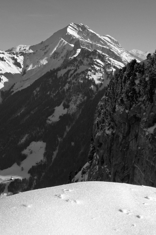 Suet : Face ouest du jalouvre
