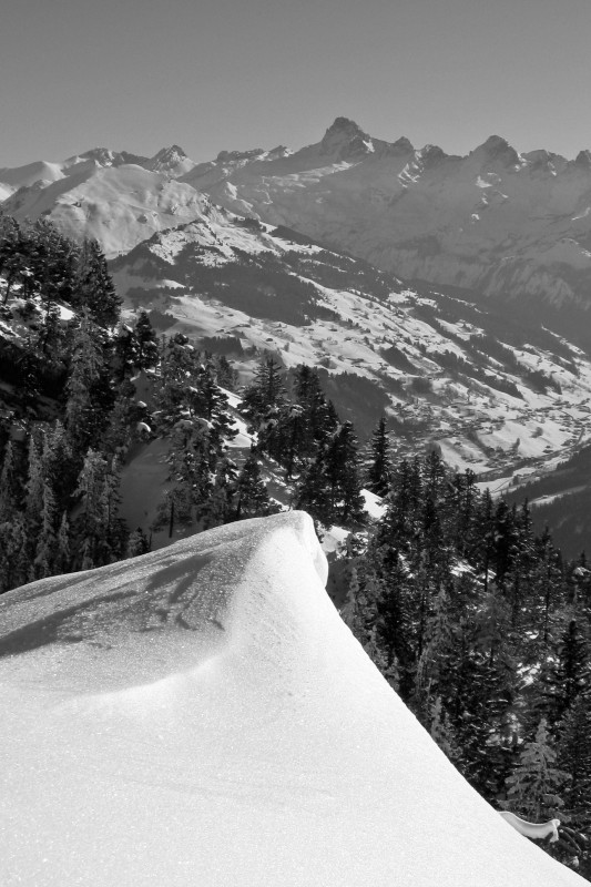 Suet : La pointe percée