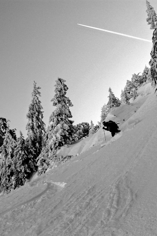 Suet : Cap free rider