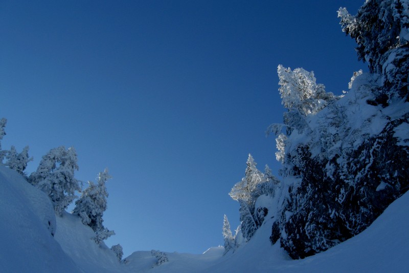 Suet : Les derniers mètres avant la couleur
