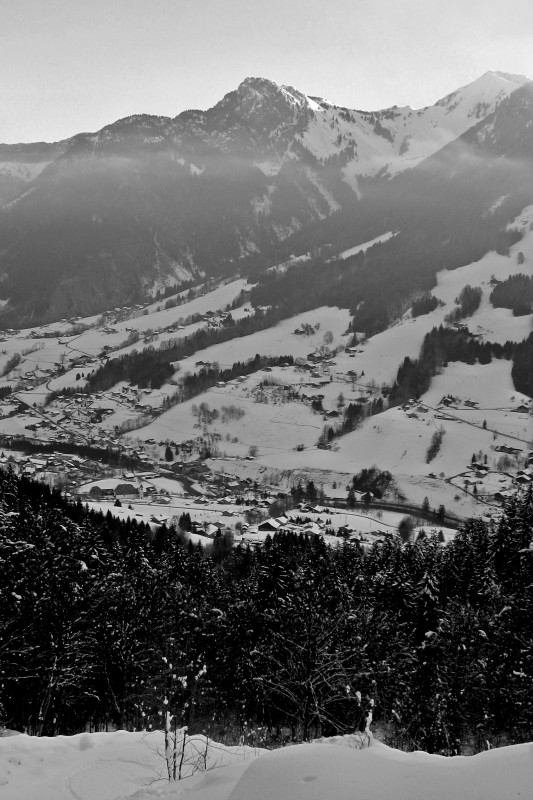 Suet : Entremont et la vallée du Borne  depuis le cône de l'avalanche