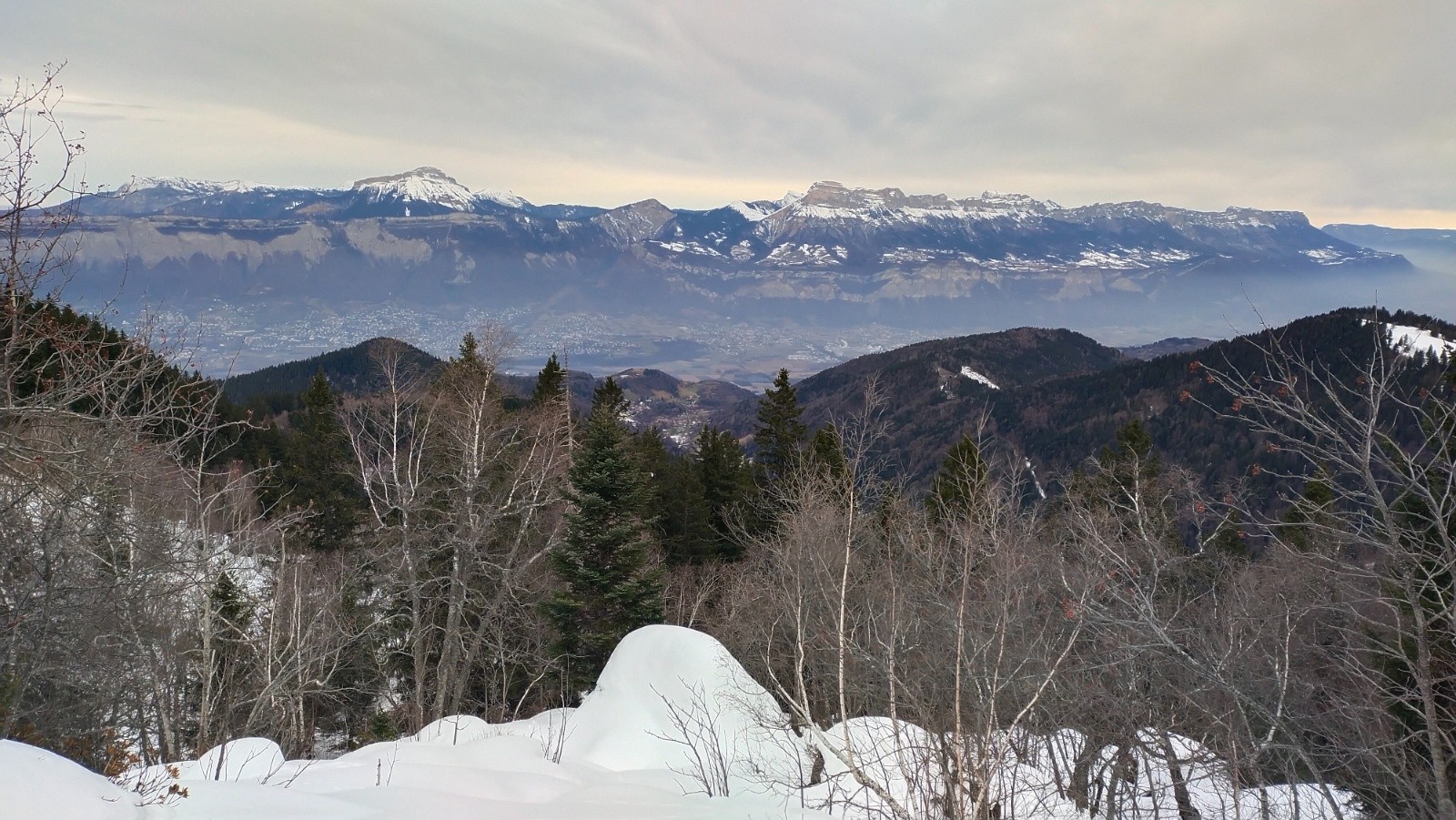 #7 Chartreuse Chartreuse