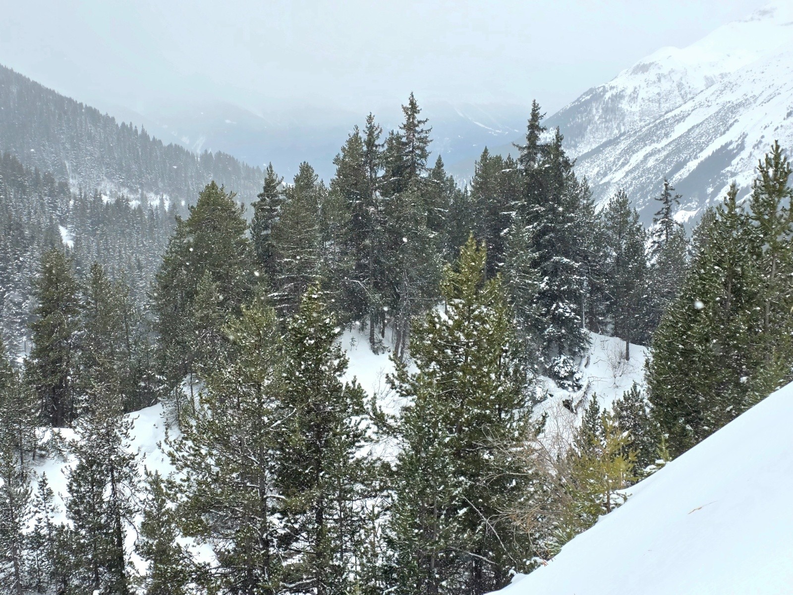 Descente vers Termignon&nbsp;