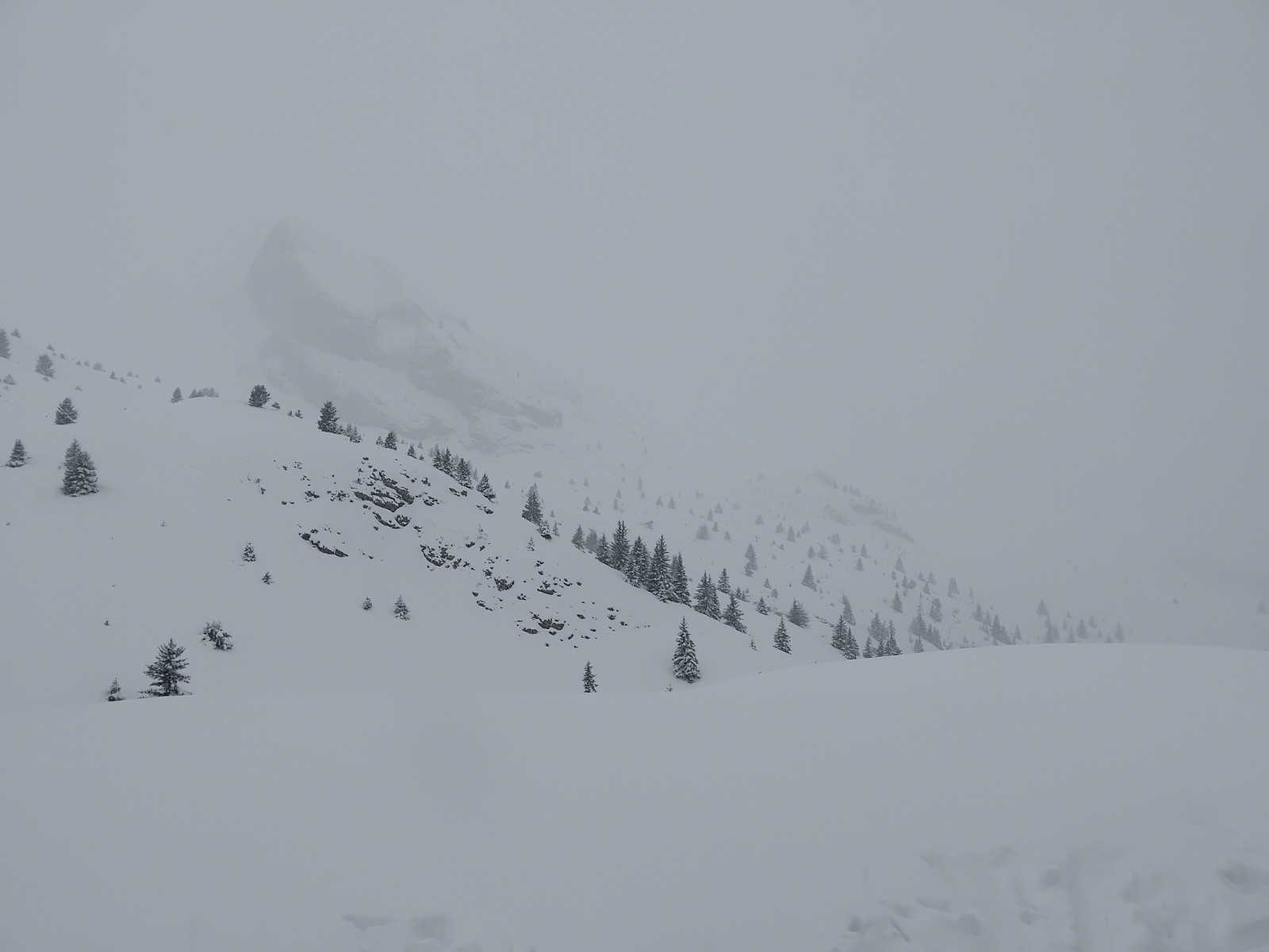 Samedi 17 janvier. Temps blanc