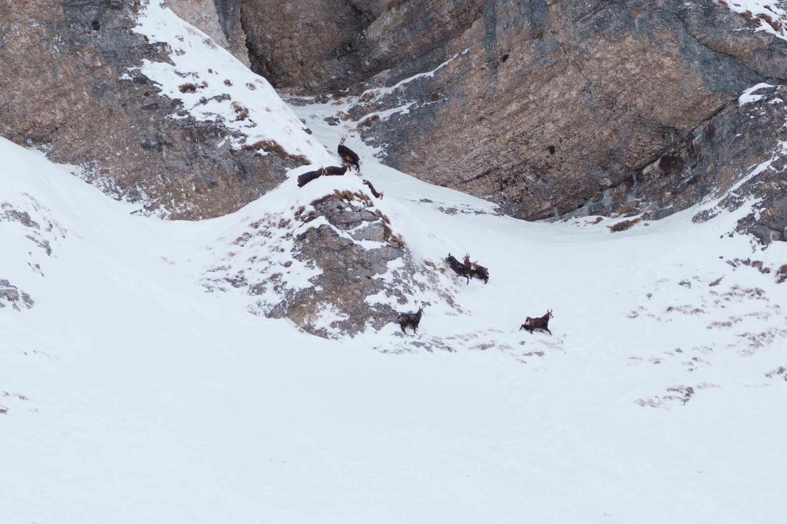 #4 On n On n'était pas seuls dans le vallon 😁