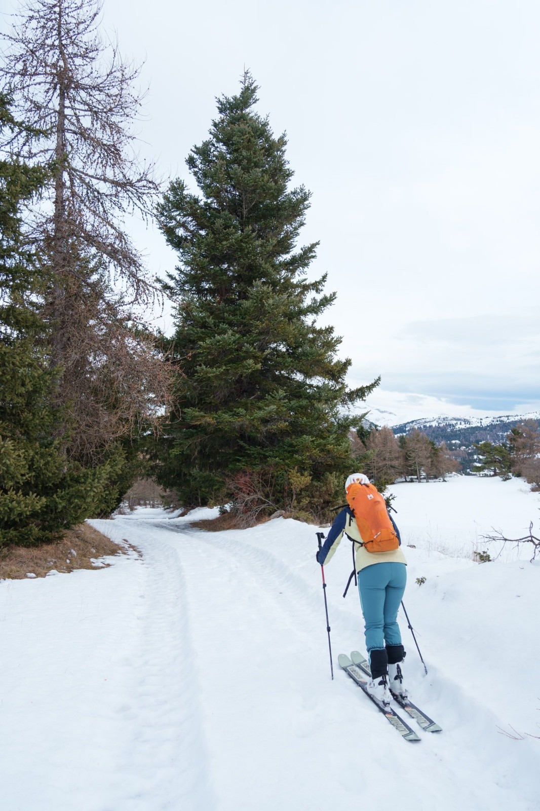 #17 Ski-bobsleigh dans les traces de tracteur Ski-bobsleigh dans les traces de tracteur
