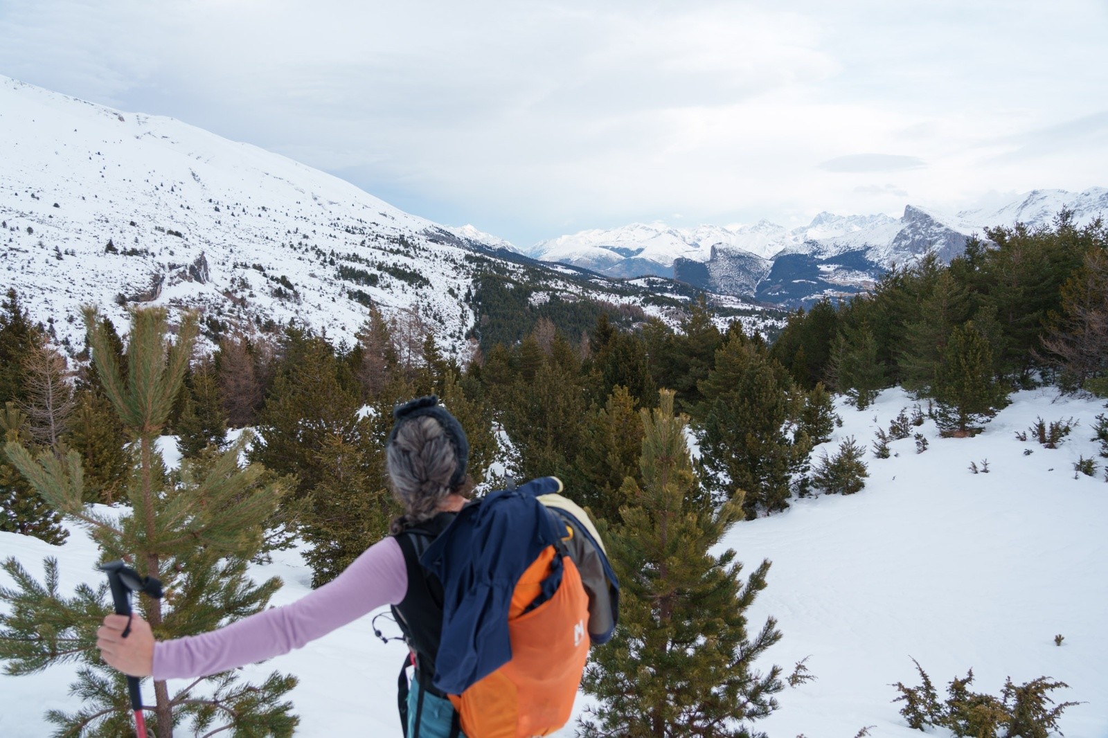 #2 Entre les sapins, ça passe Entre les sapins, ça passe