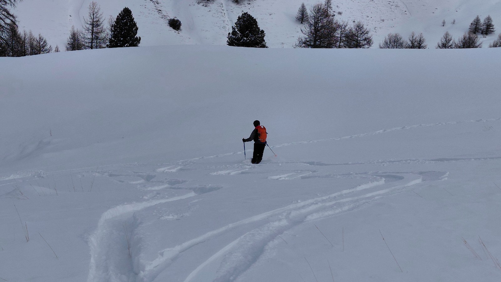 juste 50m pour le fun&nbsp;