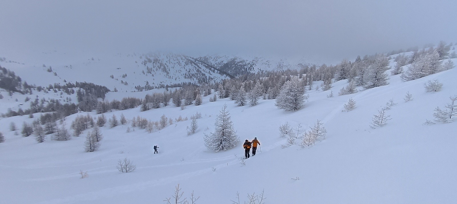 #8 1ère montée, sortie des mélèzes 1ère montée, sortie des mélèzes