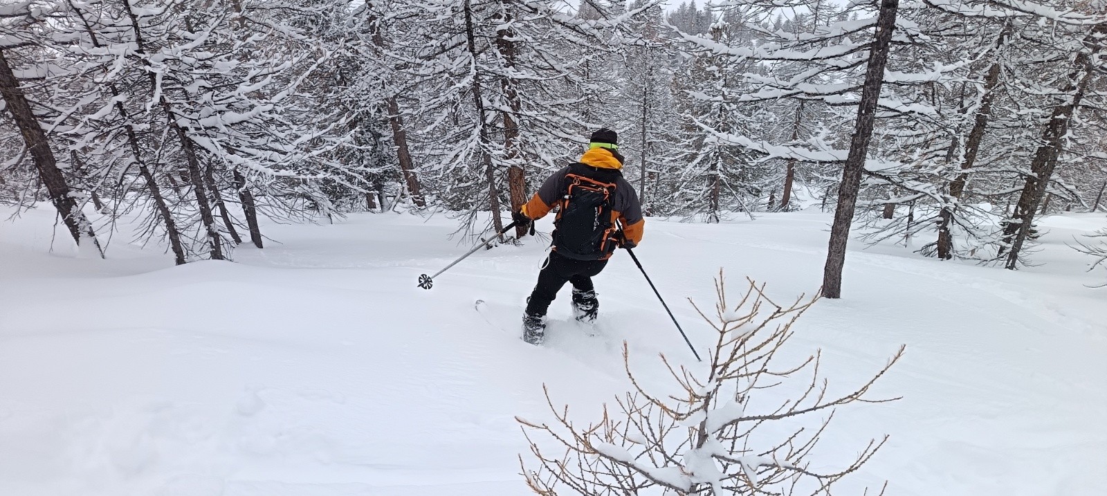 #13 Bon ski dans les mélèzes Bon ski dans les mélèzes