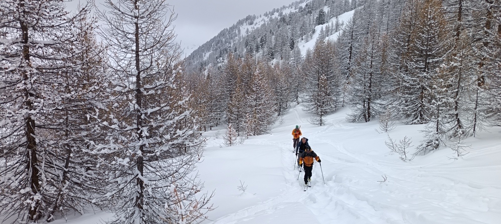 #7 1 ère montée dans les mélèzes 1 ère montée dans les mélèzes