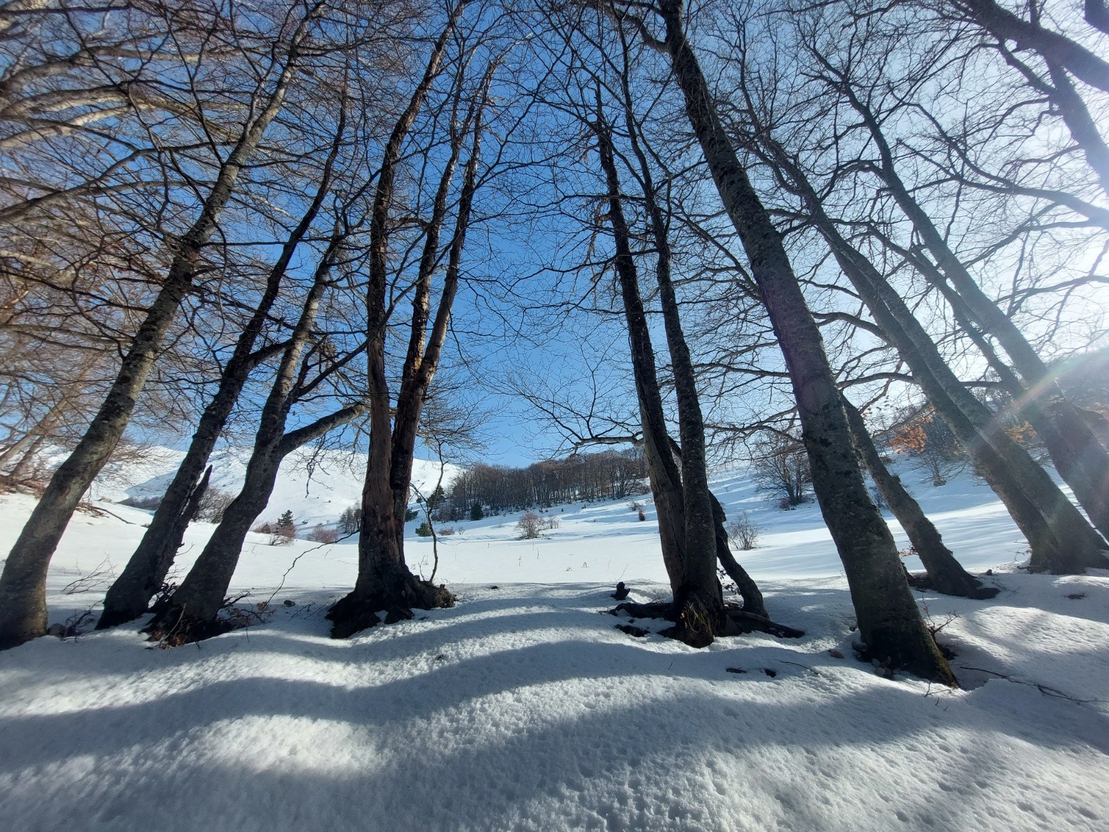 porte d'entrée&nbsp;