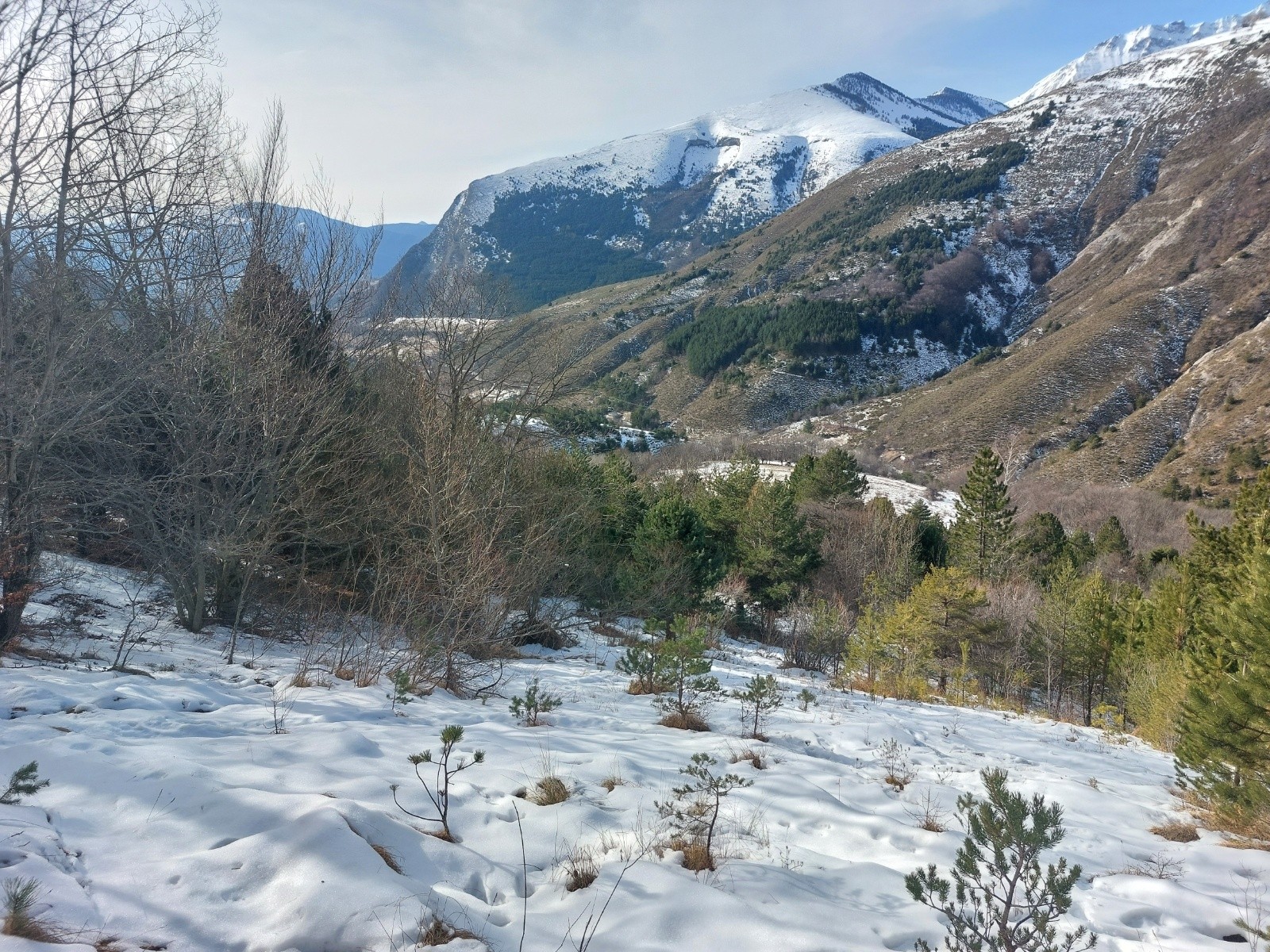 aperçu de l'enneigement du bas&nbsp;