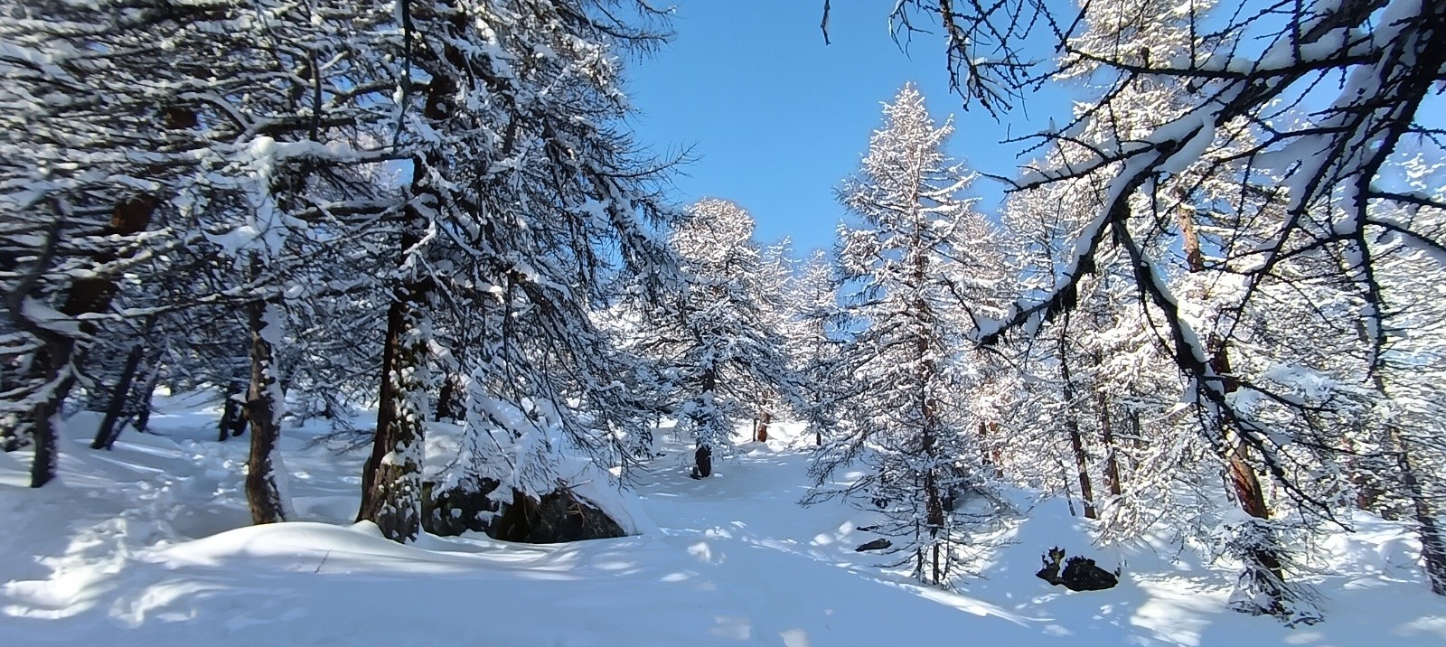 #1 Soleil au dessus de la 1ère montée raide Soleil au dessus de la 1ère montée raide