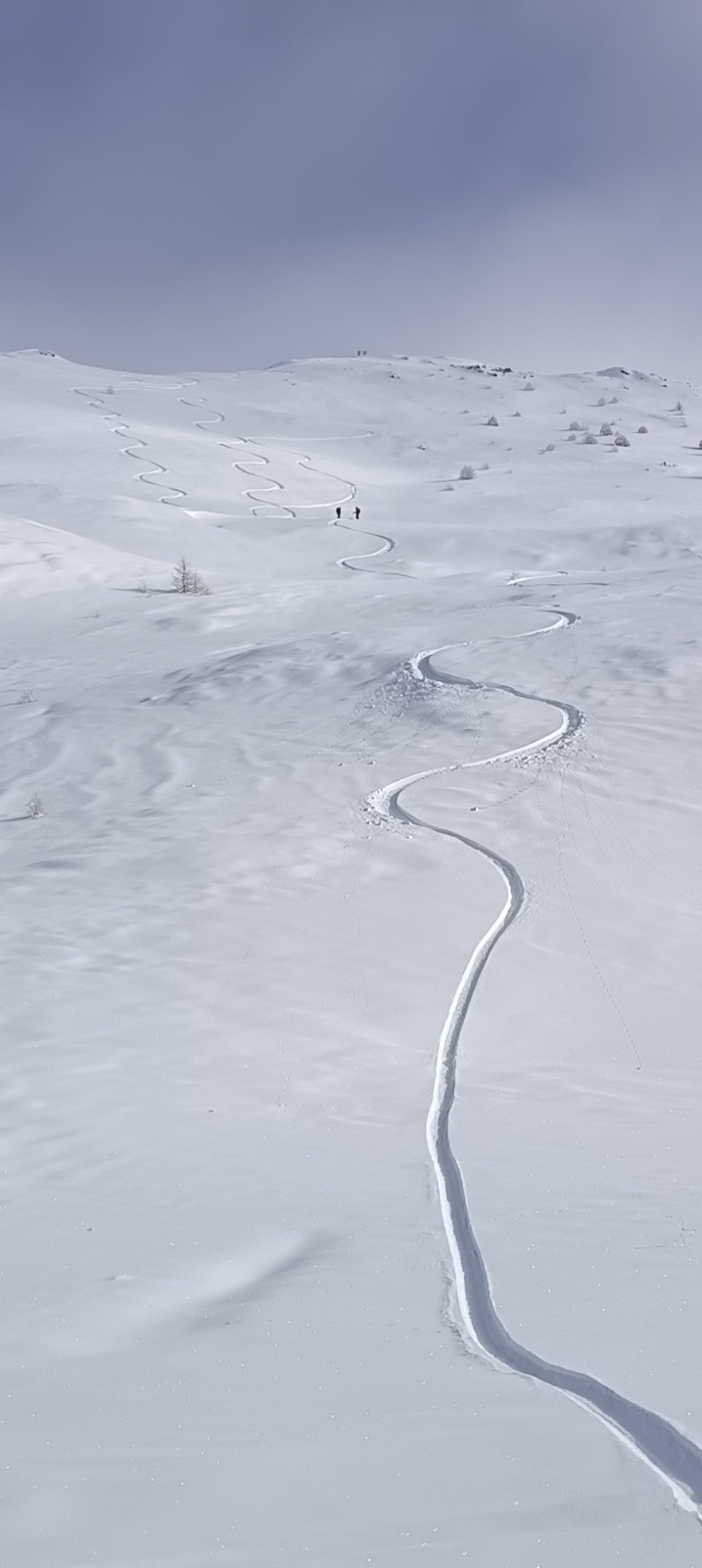#8 Miam 😋 la 1ère descente du Longet Miam 😋 la 1ère descente du Longet