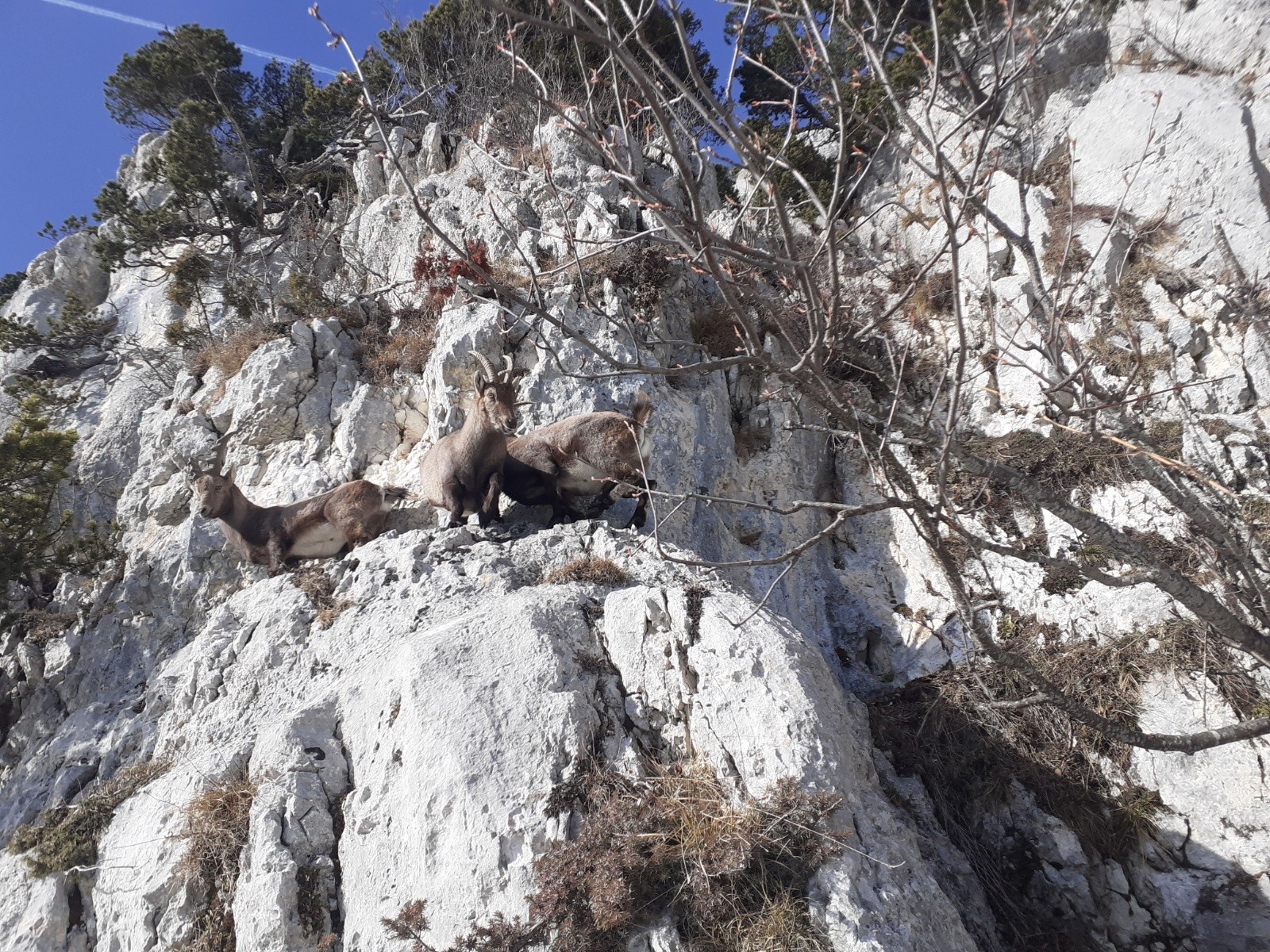 &nbsp;Embouteillage au Pas de Barres
