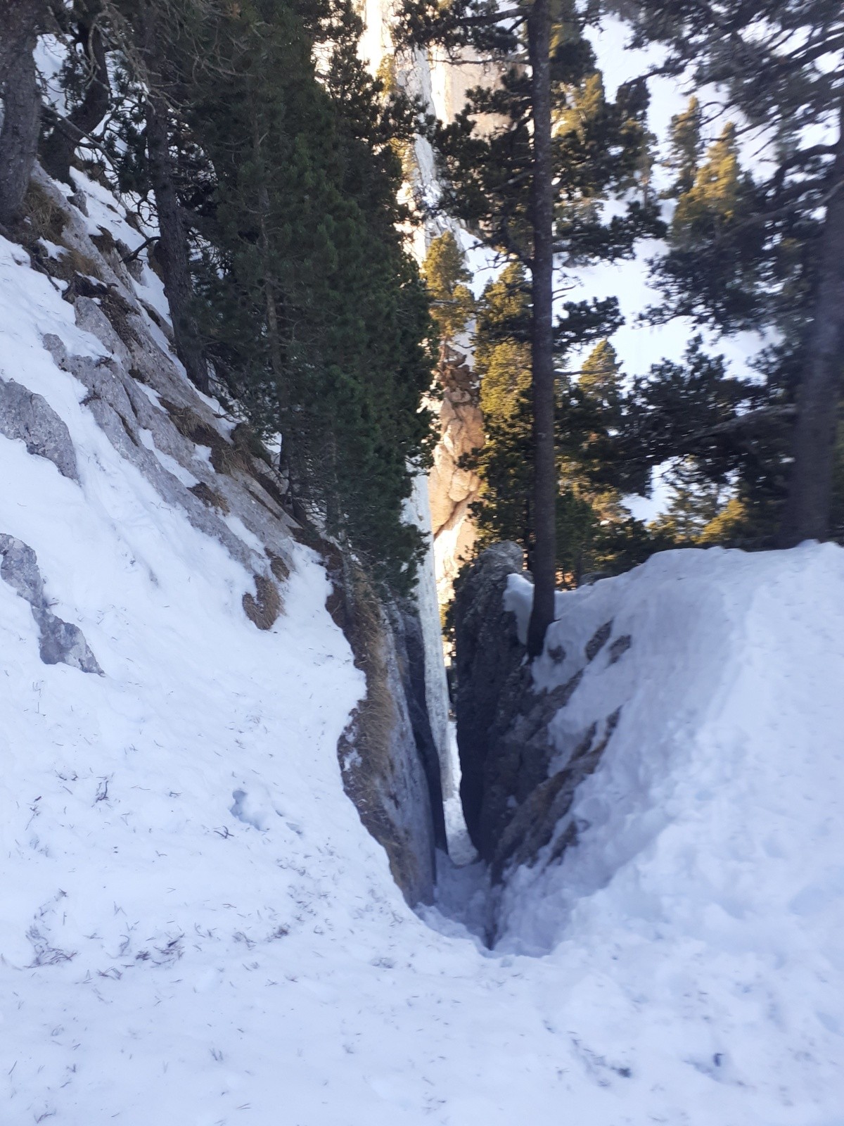 Cheminée Paradis&nbsp;