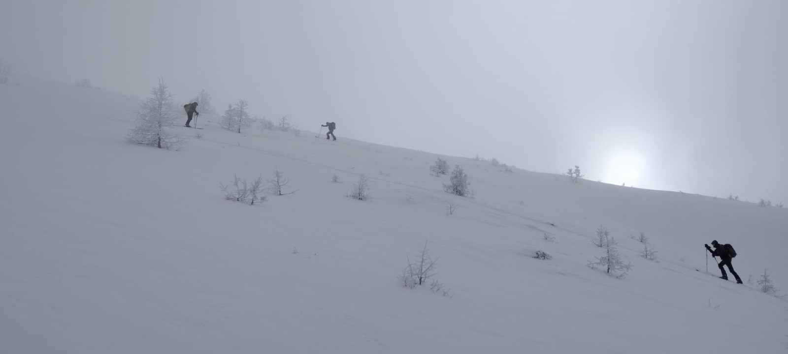 Nous entrons petit à petit dans le brouillard.&nbsp;