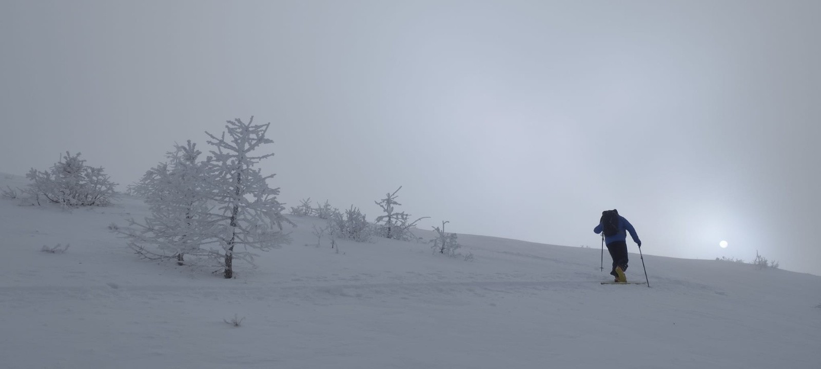 Sous Maloqueste.&nbsp;