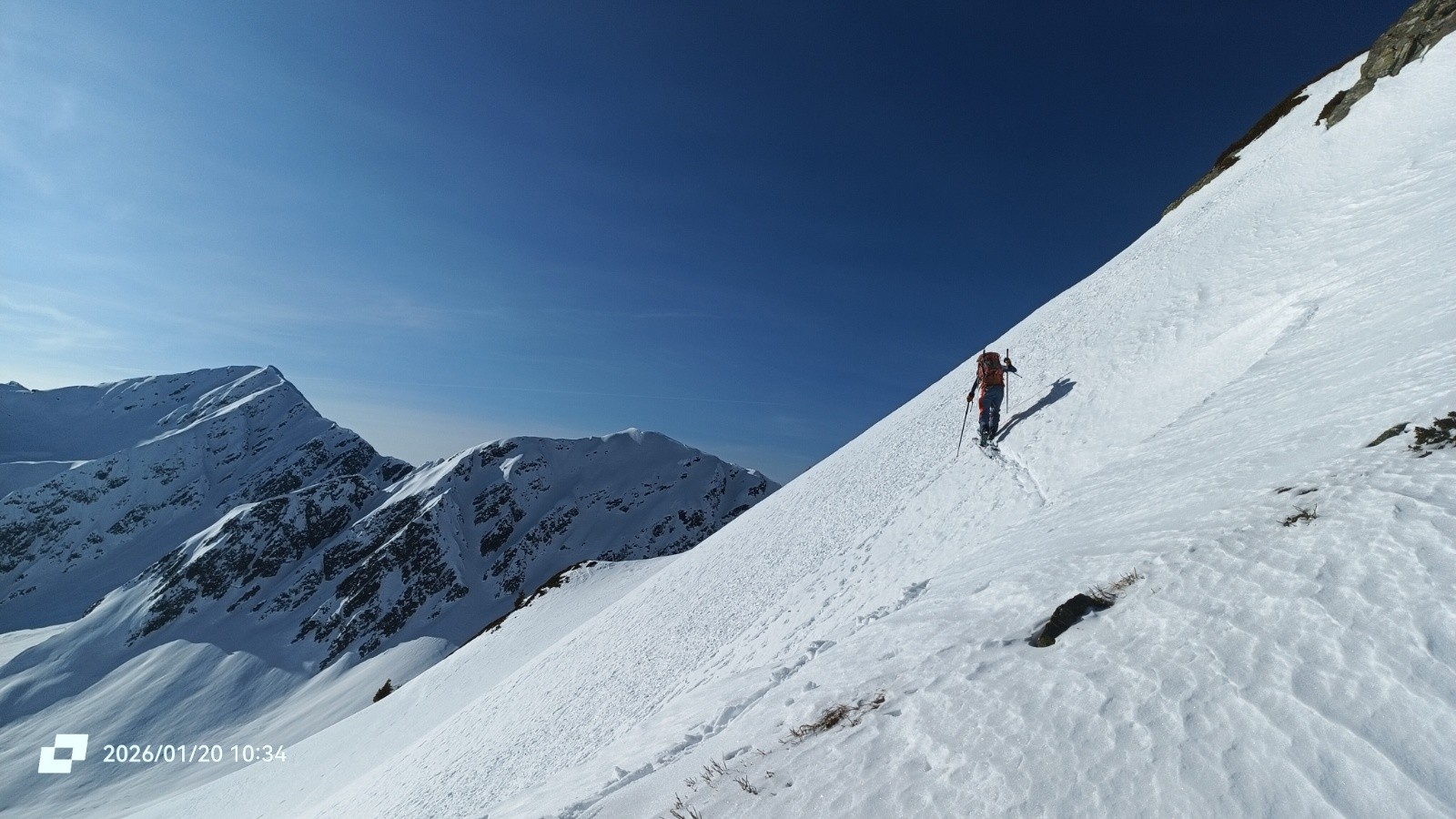 #8 Devant Vache Rouge Devant Vache Rouge