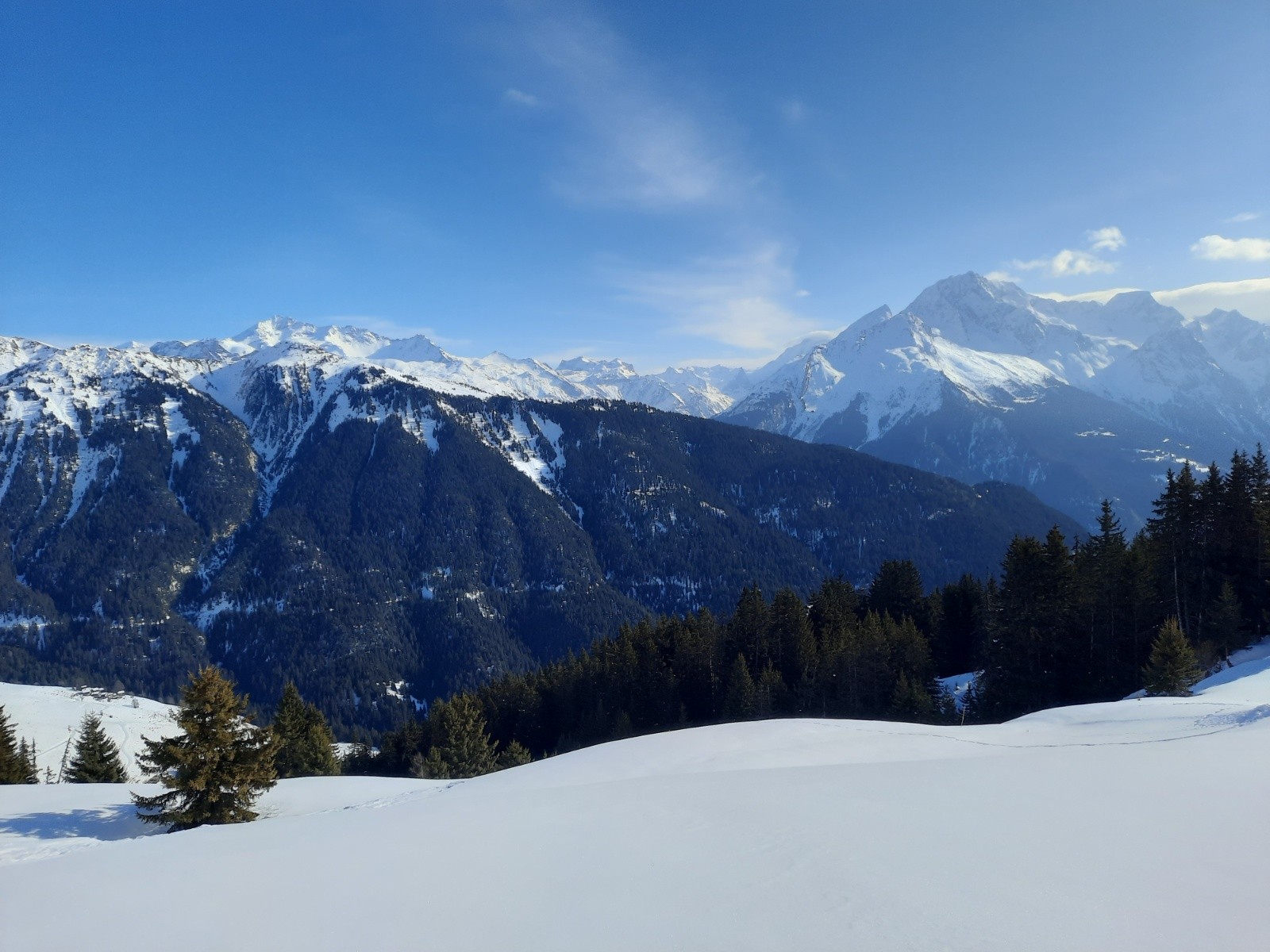 A la sortie de la forêt sous le Mont Challier