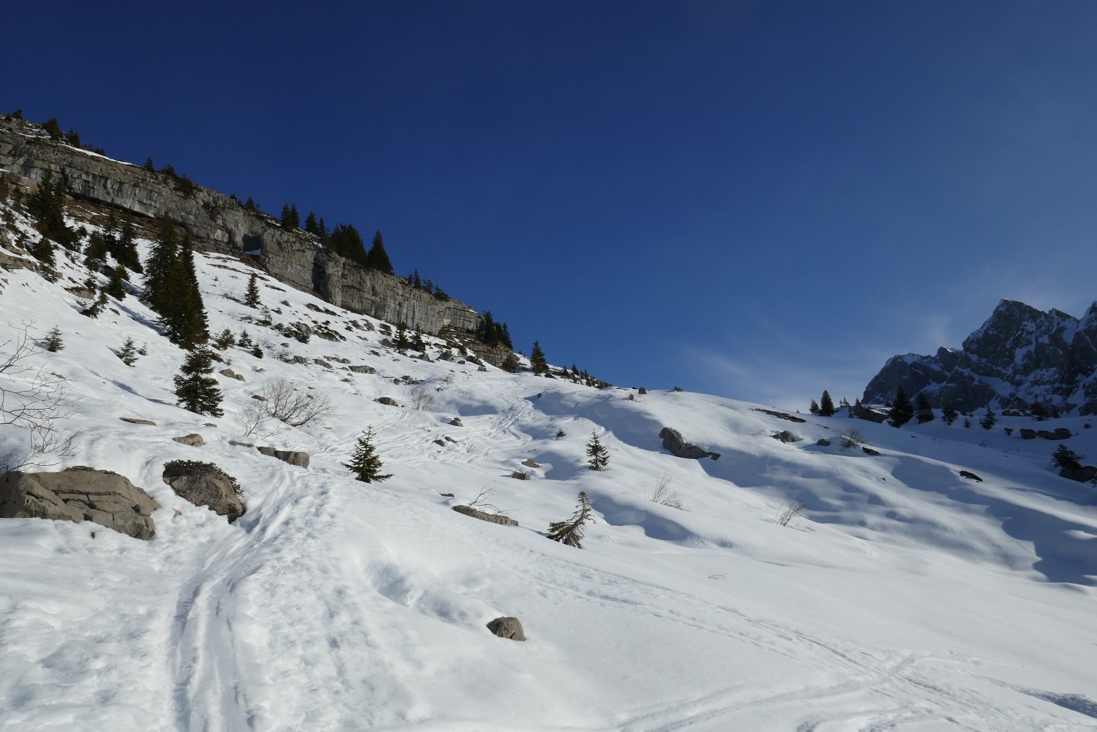 #2 De cet endroit, un peu au dessus du refuge, jai entendu un chien aboyer au loin versant Golèse puis vu quatre minutes plus tard ces chamois dont un sifflait! De cet endroit, un peu au dessus du refuge, jai entendu un chien aboyer au loin versant Golèse puis vu quatre minutes plus tard ces chamois dont un sifflait!