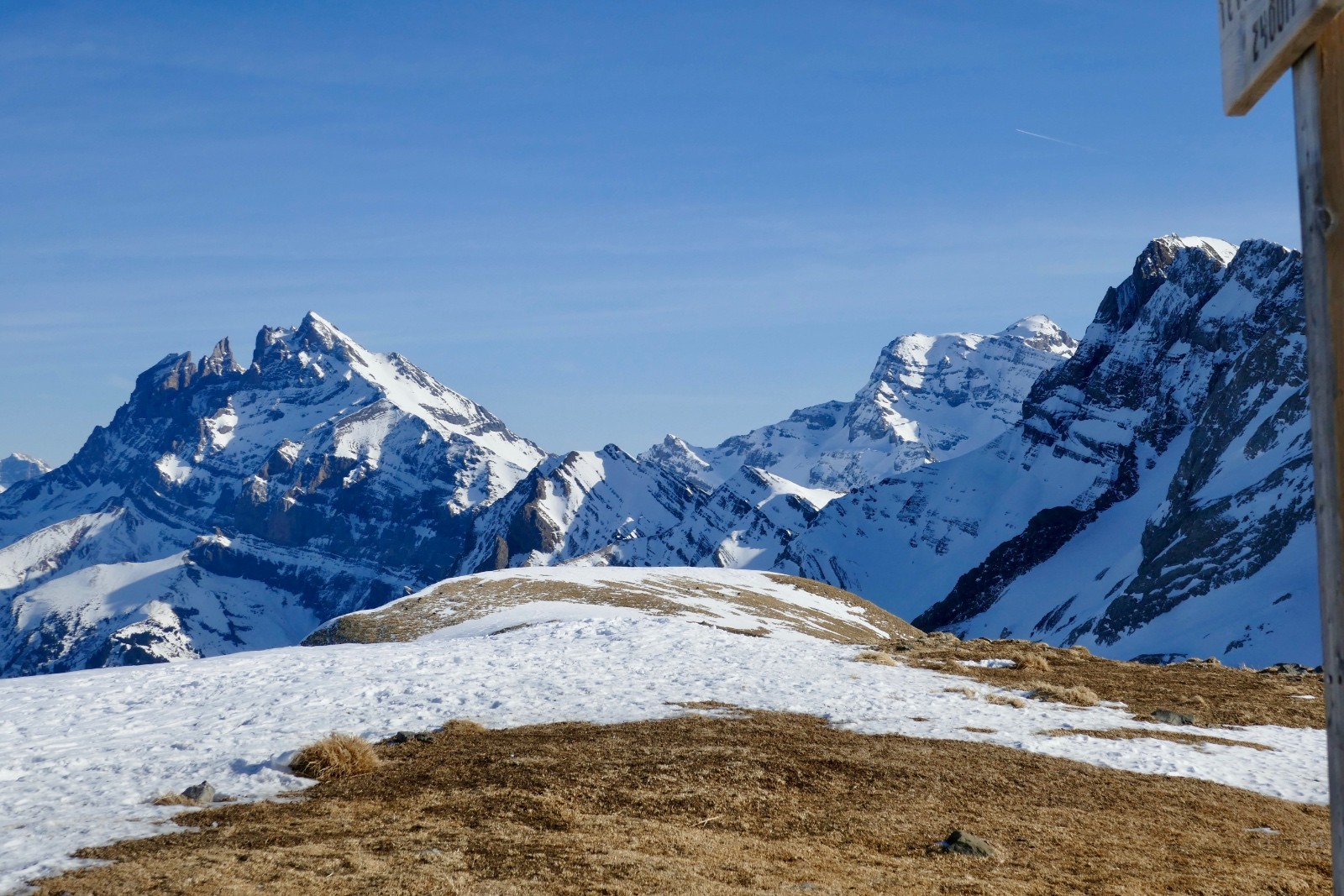 #9 Dents du Midi, les petites tâches noires sont des chamois Dents du Midi, les petites tâches noires sont des chamois