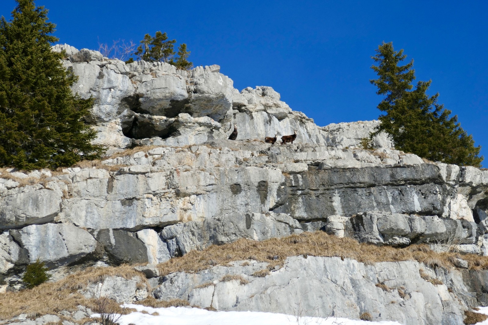 #3 Ceux-là Ceux-là