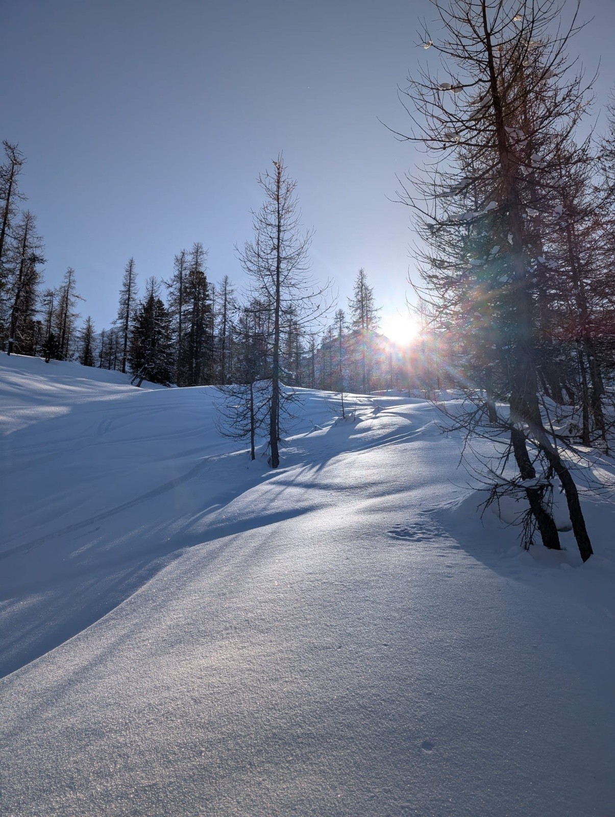 &nbsp;Bientôt l'ombre et la pente N