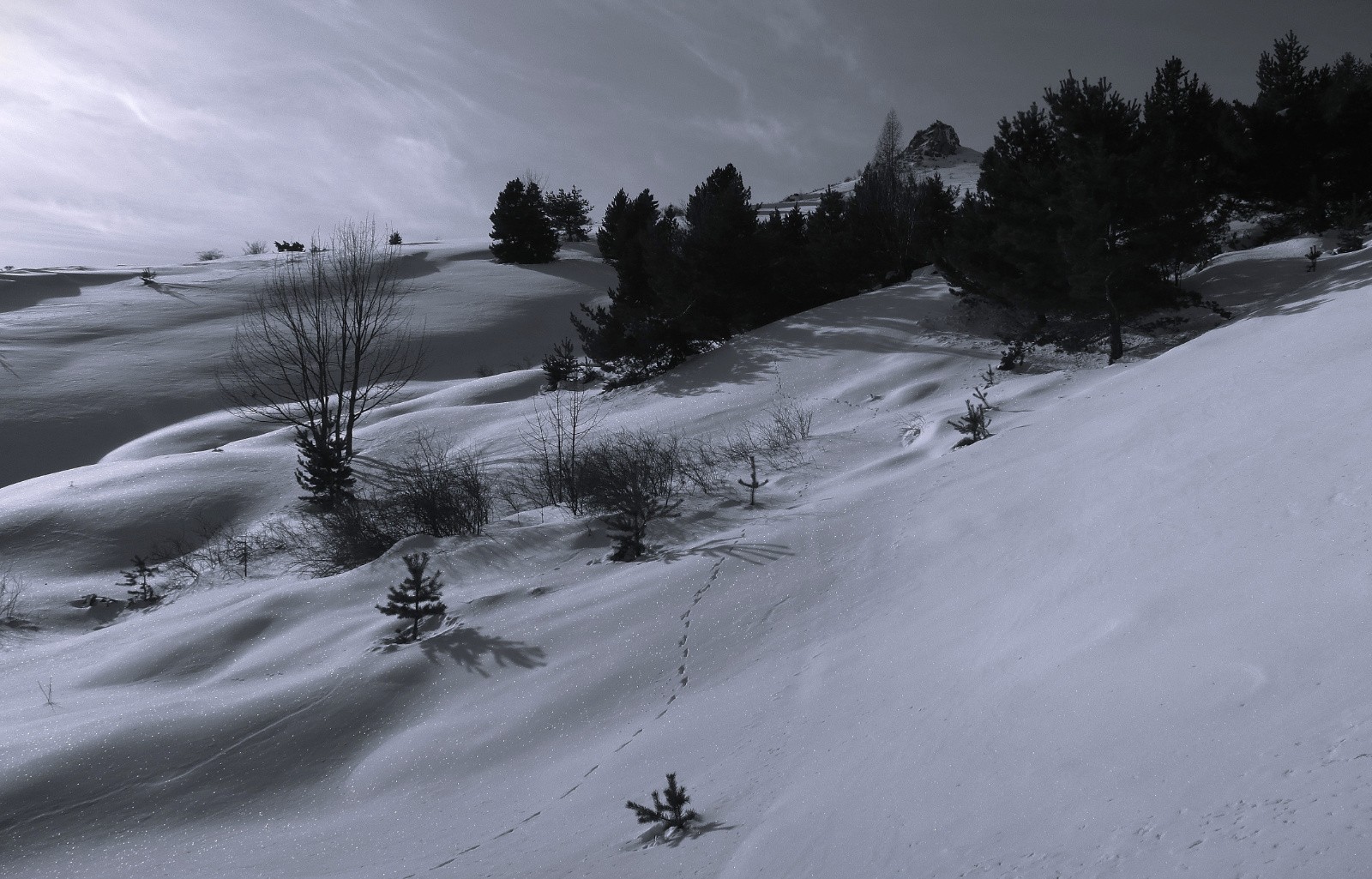 Entre le Haut Col et la Tête de Combe Noire&nbsp;
