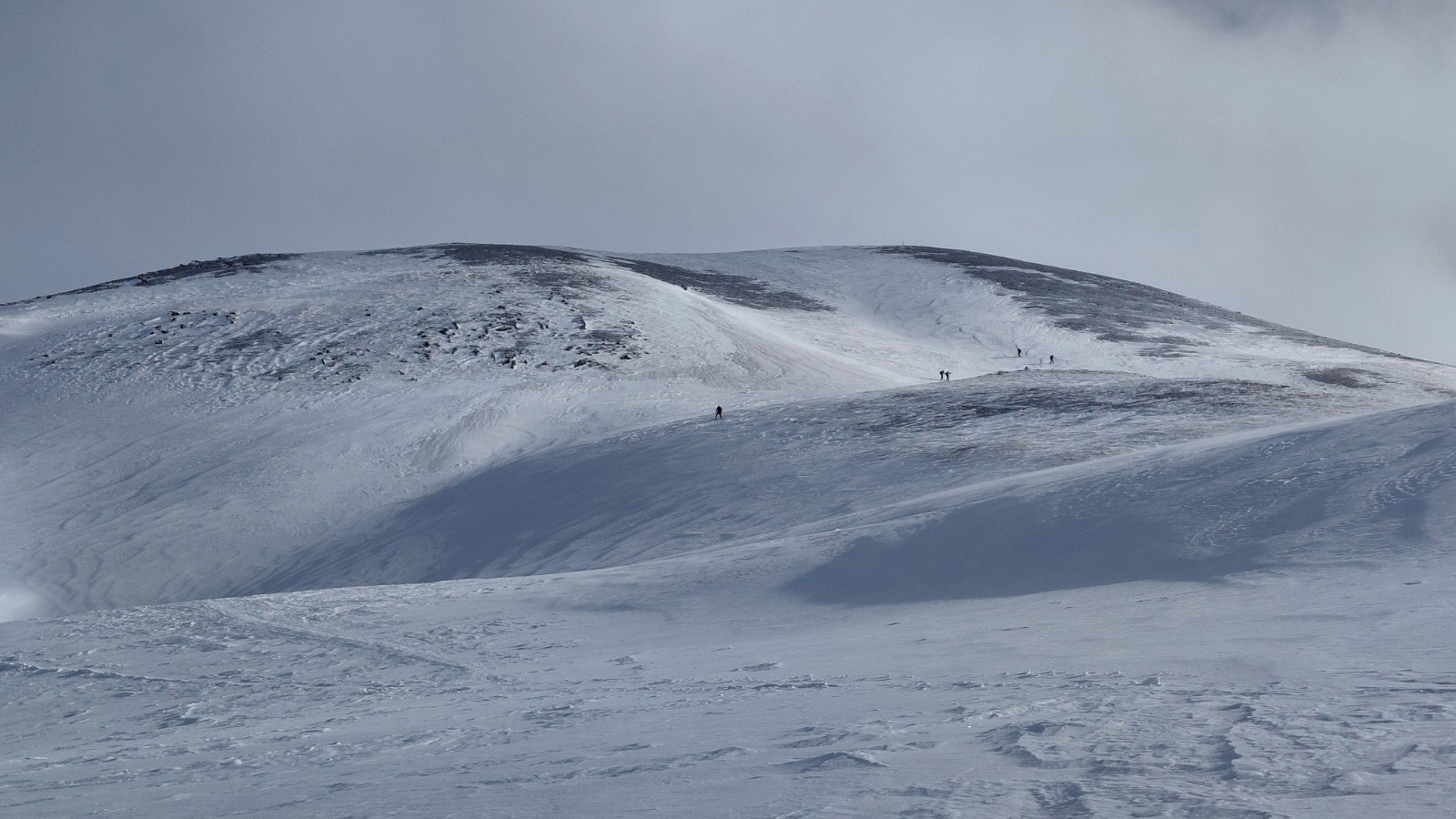 Tête de Paneyron bien pelée&nbsp;