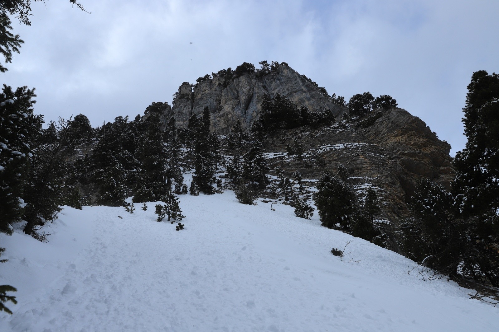 Je remonterai la première ravine jusqu'à là&nbsp;