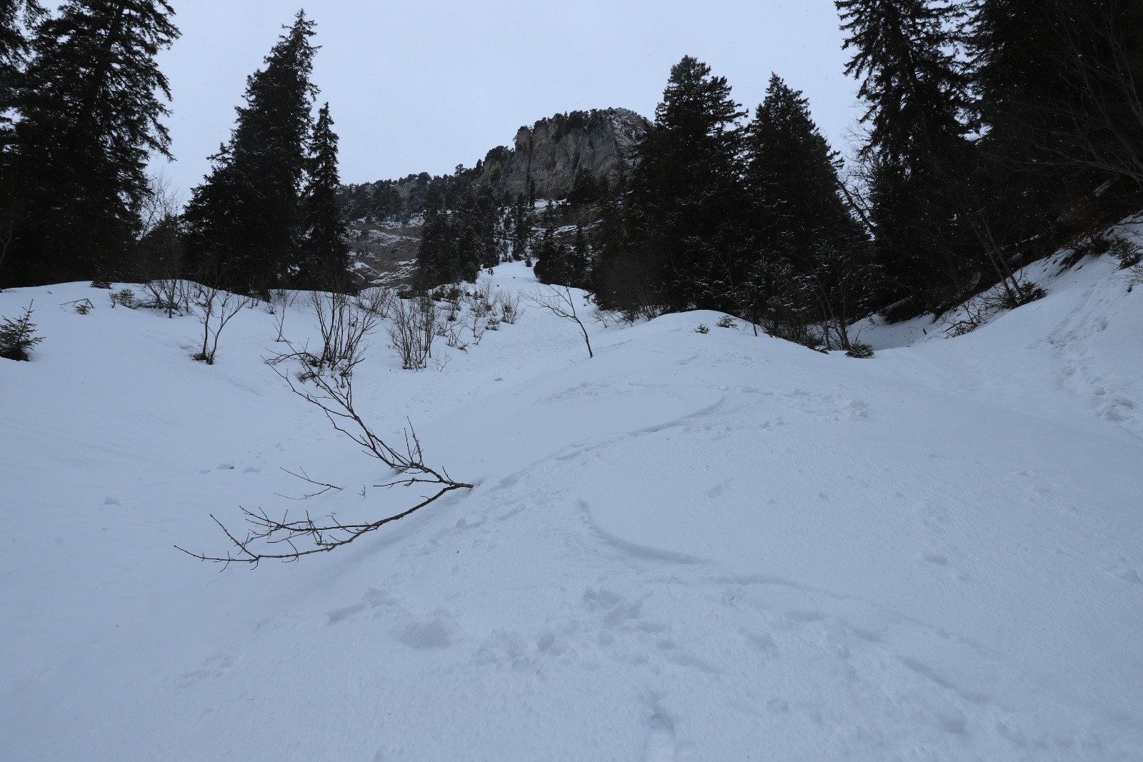 &nbsp;Plutôt plaisant comme descente!