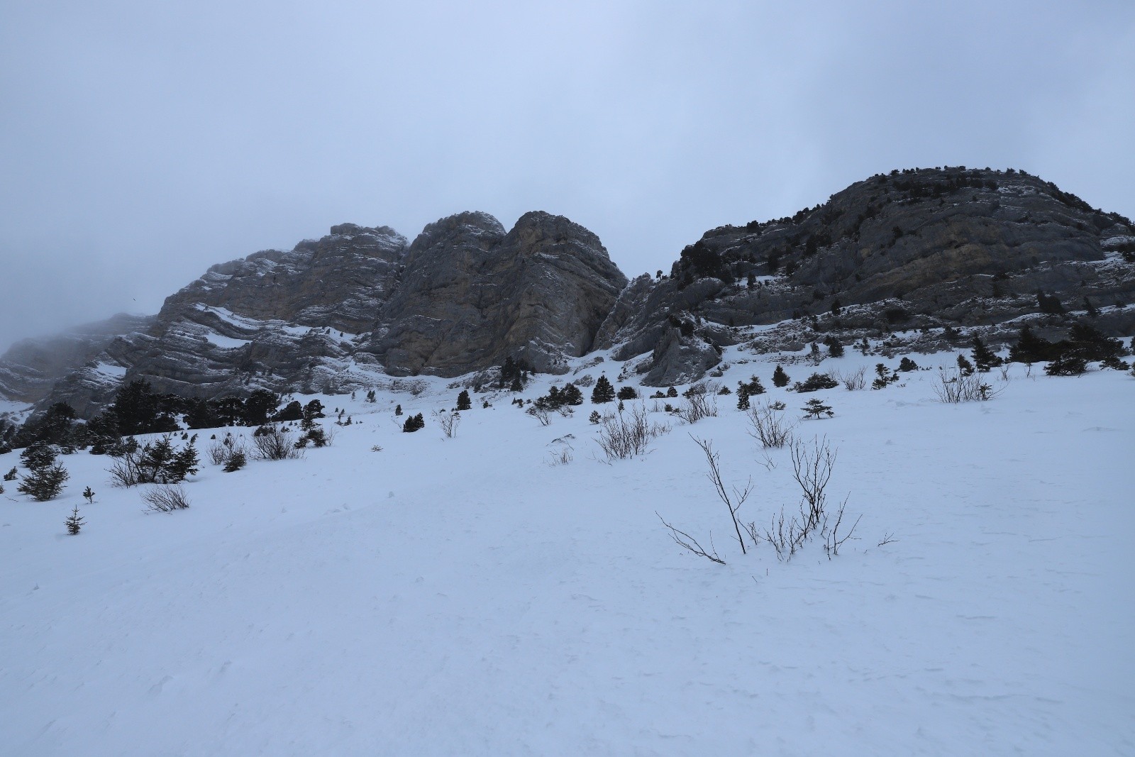 Après avoir traversé la forêt, je débouche dans la prairie de Chamechaude