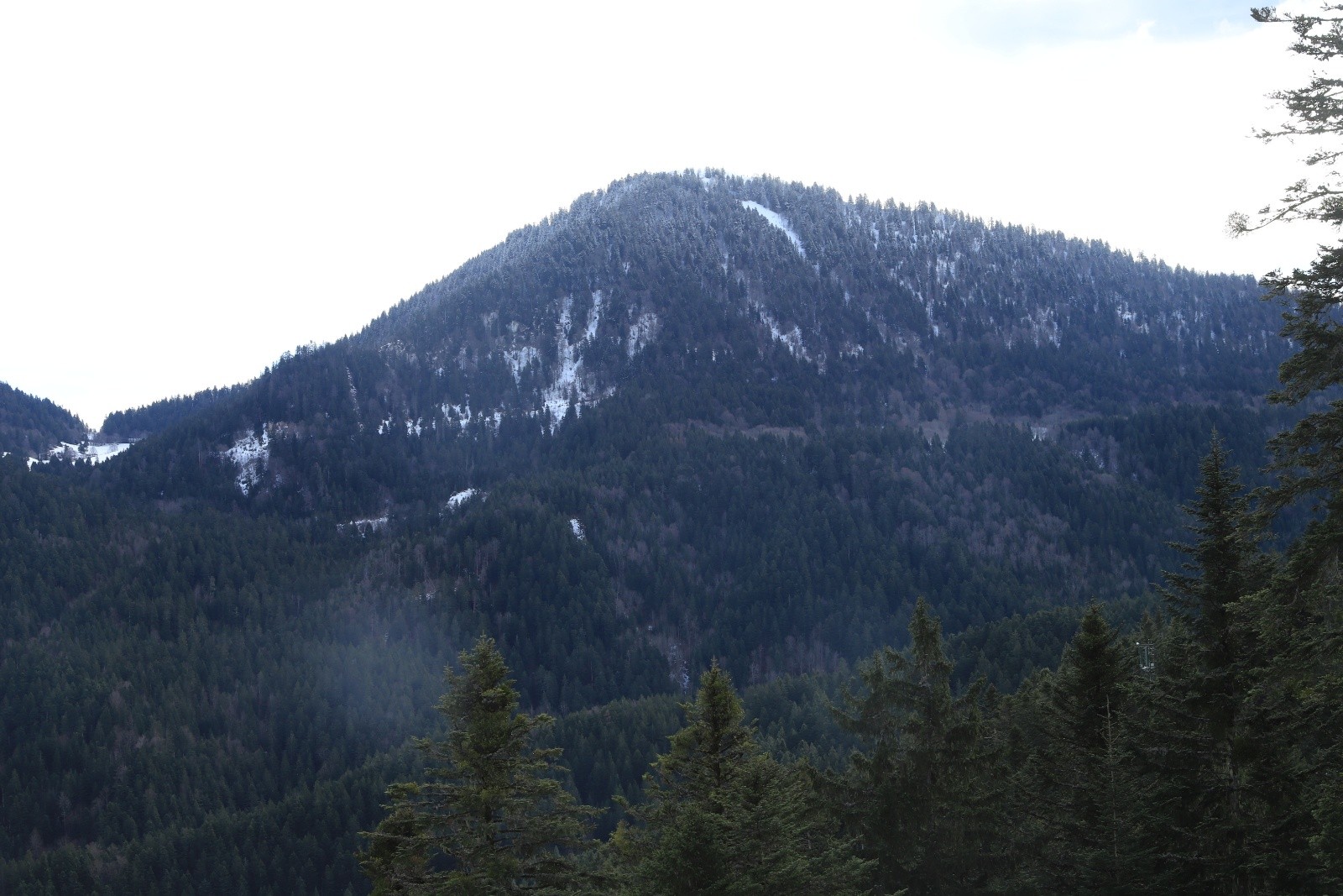 Bec Charvet... les arbres ont l'air bien enneigés!&nbsp;