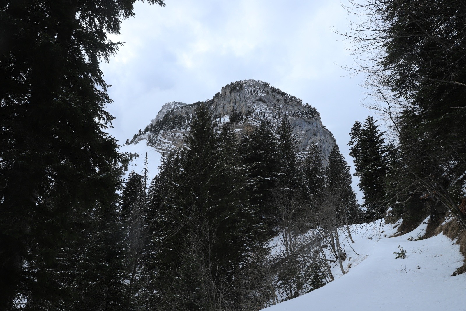 Face Nord de Chamechaude, avec un faciès qu'on ne reconnaît pas