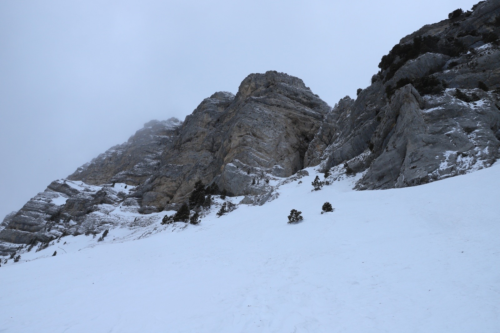 &nbsp;La petite niche perchée que je vise