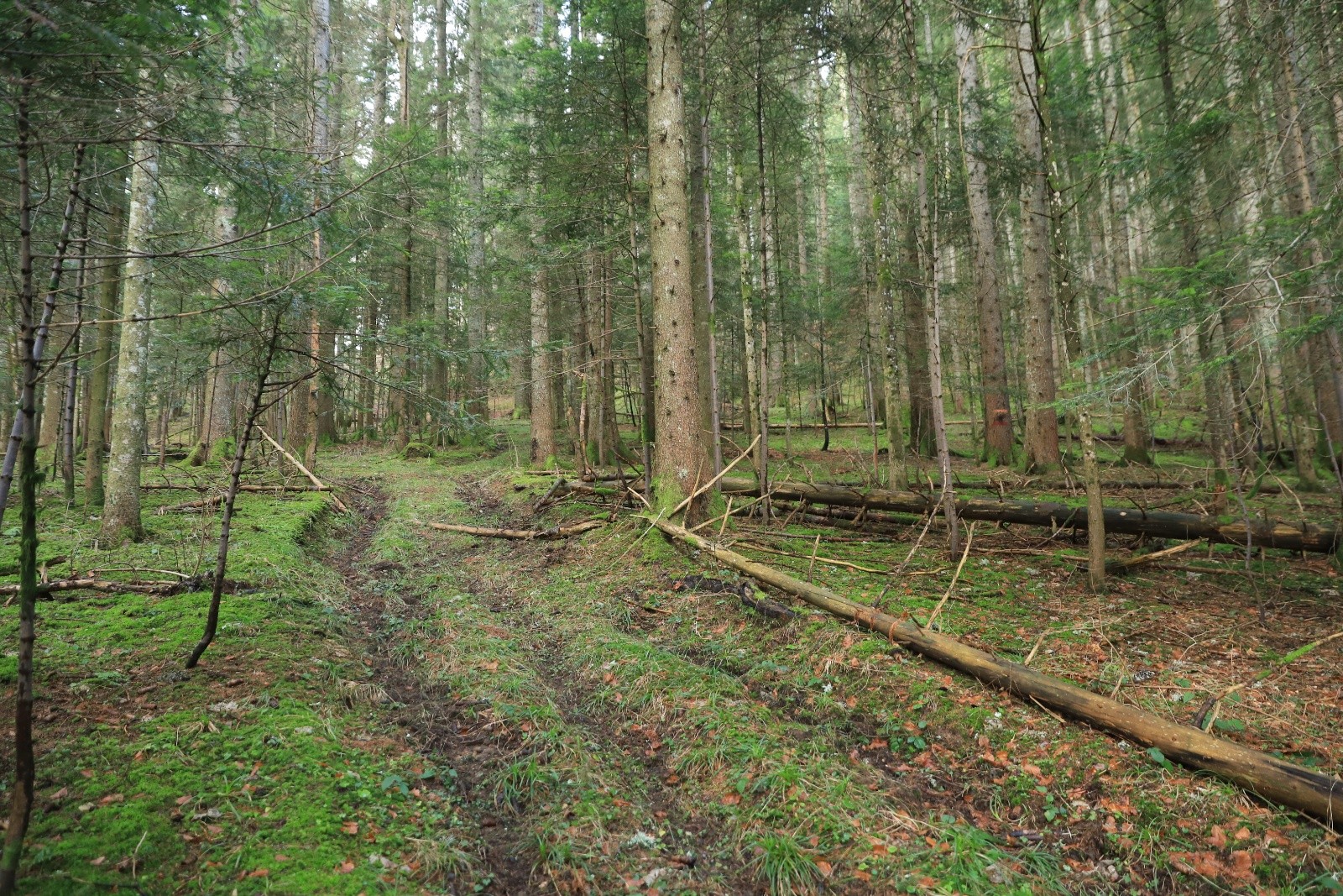 &nbsp;La suite : ben, euh, elle est passée où la neige?