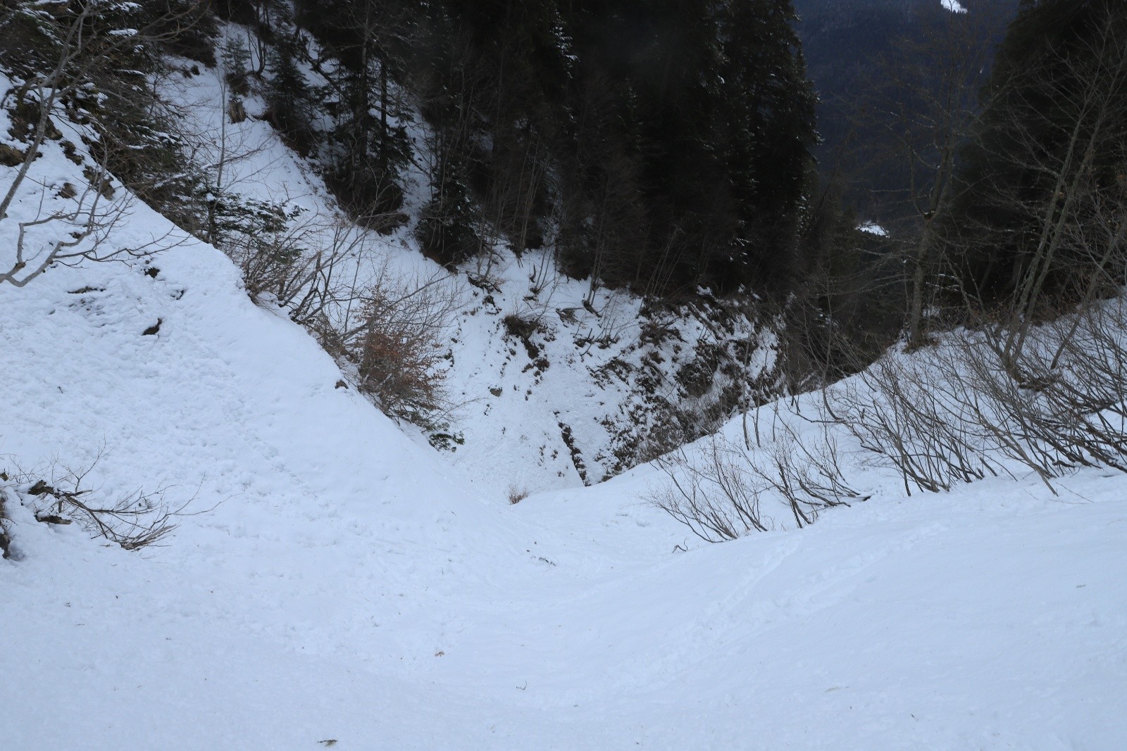 Remontée dans la ravine parallèle, légèrement plus au sud